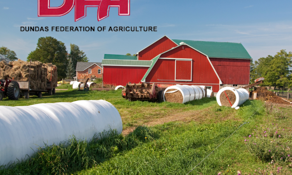 dundas federation of agriculture