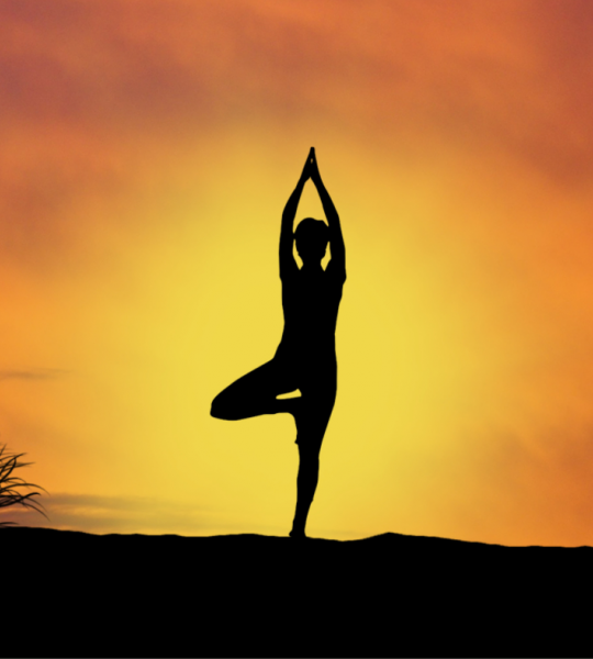 Yoga Pose Image