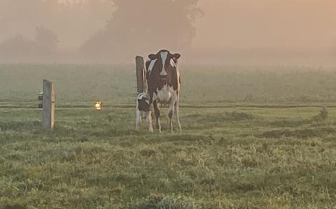 Pictured, the winning submission from the first Capture North Dundas photo contest, held in October of last year. (Photo taken by Doug MacGregor)