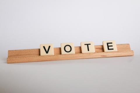 scrabble piece vote image