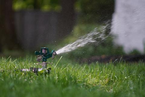 sprinkler on lawn