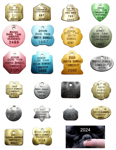 Picture of various dog tags