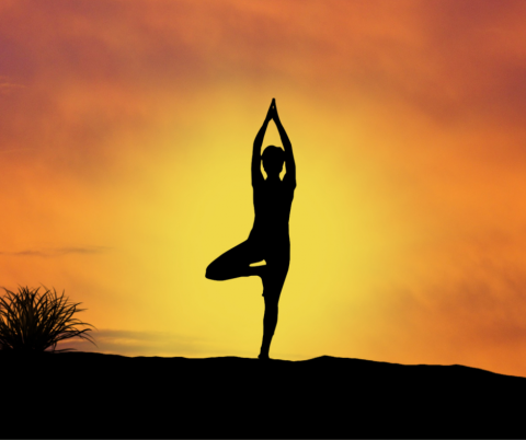 Yoga Pose Image