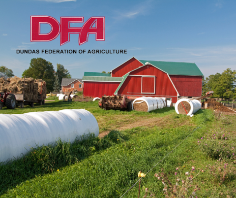 dundas federation of agriculture